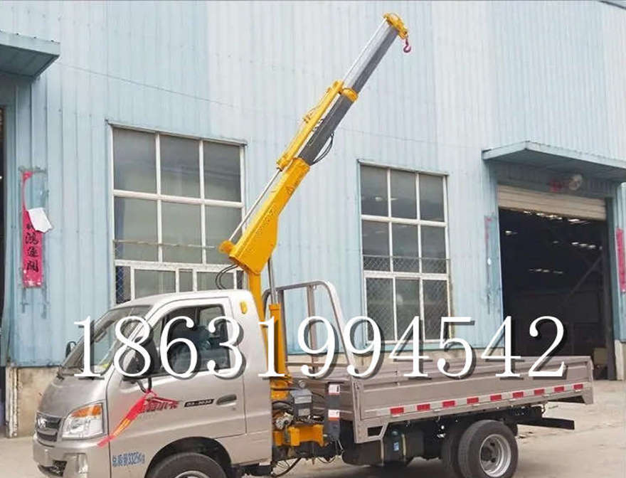 津市市车载吊机液压起重机移动起重机220v移动吊机津市市附近小吊机220V津市市附近车载吊机
